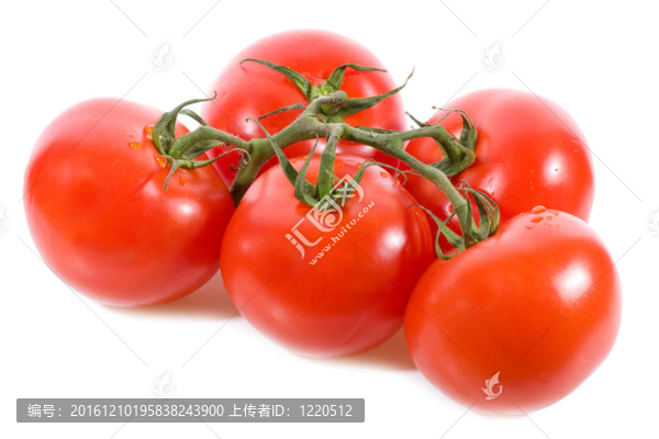 西紅柿