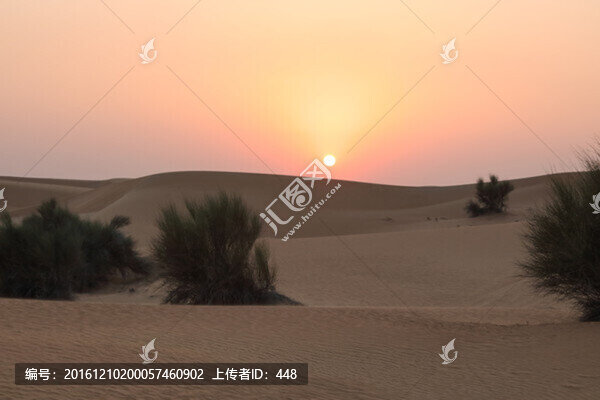 沙漠,,戈壁灘,沙漠日落