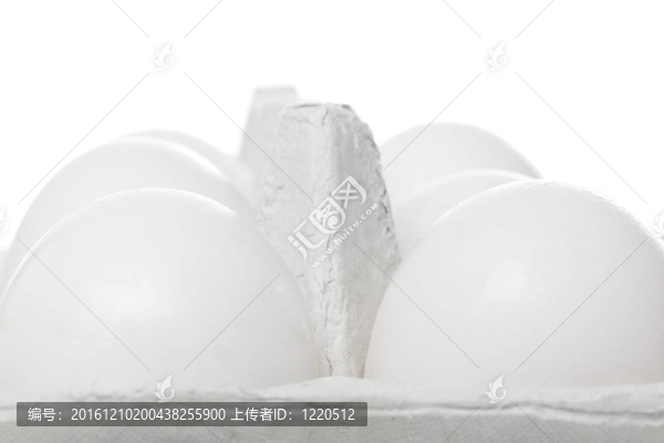 白蛋
