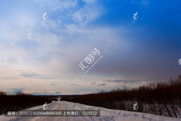道路穿過樹林