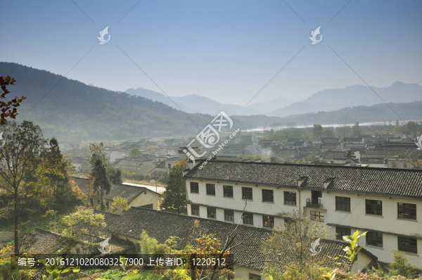 山