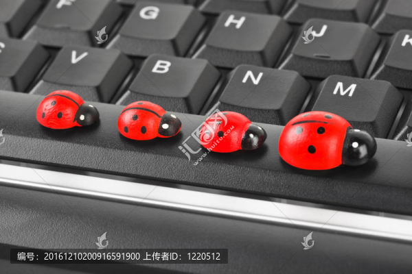 電腦鍵盤(pán)上的玩具瓢蟲(chóng)