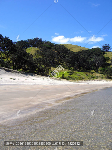 Whangapoua海灘；大屏障島；新西蘭