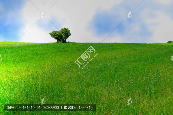 農(nóng)業(yè)的