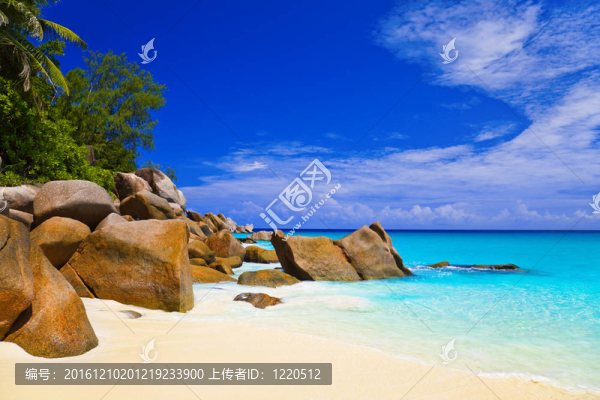 在普拉蘭島熱帶海灘；塞舌爾