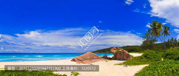 熱帶海灘全景