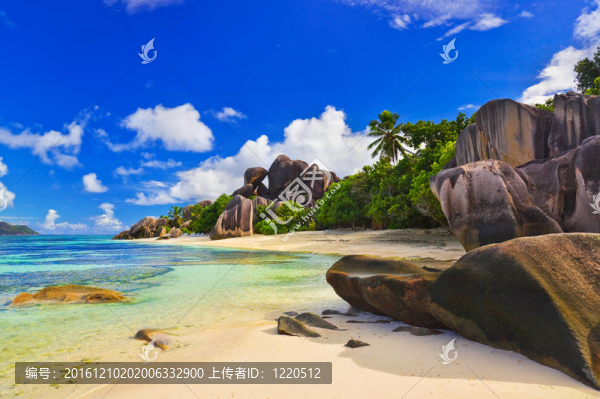 在塞舌爾海灘來源D銀色