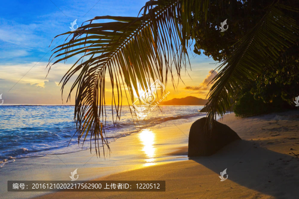 日落時(shí)的熱帶海灘