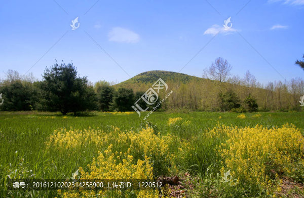 Allegheny風(fēng)景景觀