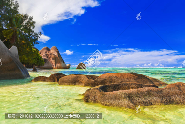 在塞舌爾海灘來源D銀色