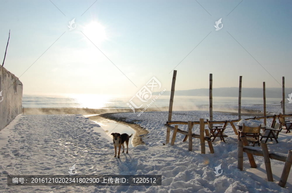 冬天的海
