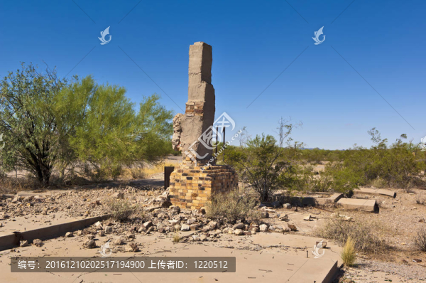 剩下的Freeman,Arizona