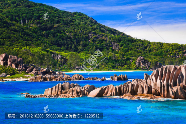 塞舌爾熱帶海灘