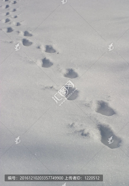 使軌道