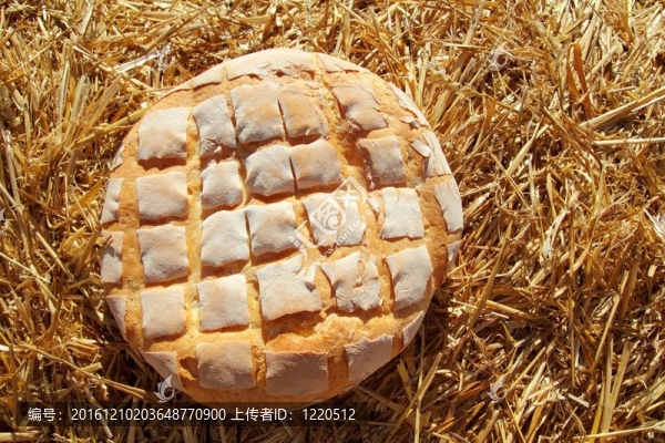 金色麥稈上的面包小圓面包