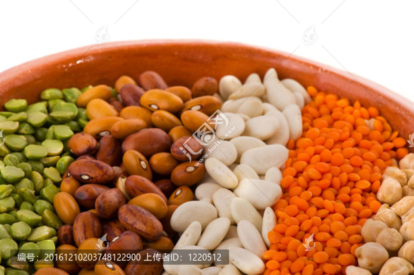 各種豆類