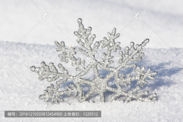雪花中美麗的銀雪花