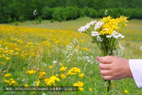 孩子們在春天的草地上手捧鮮花