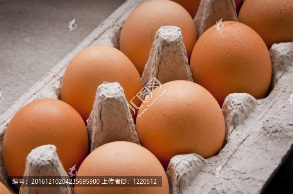 雞蛋盒