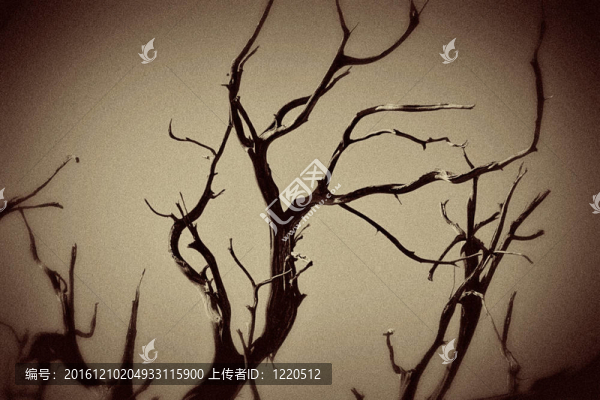 分支機構(gòu)關(guān)閉