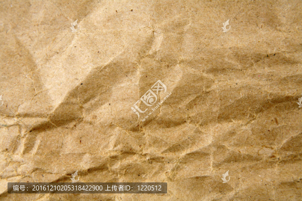 布朗的論文
