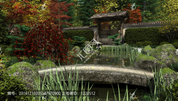 日本花園和池塘；秋天