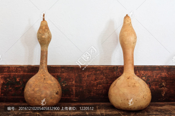 南瓜