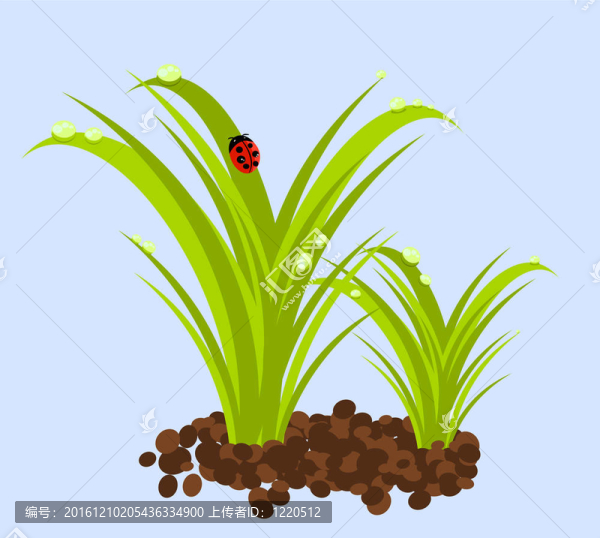 兩種植物