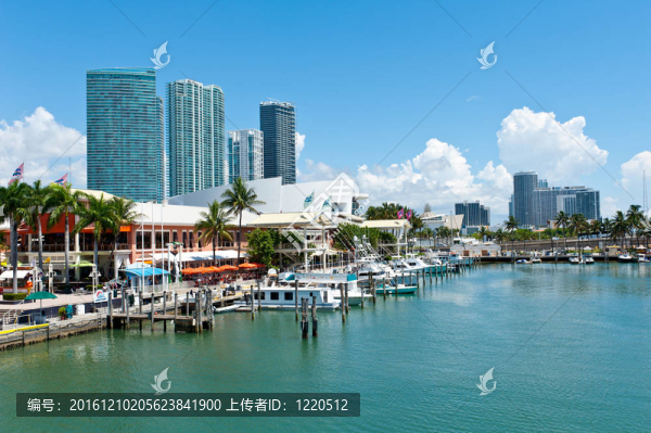 邁阿密海灣市場(chǎng)