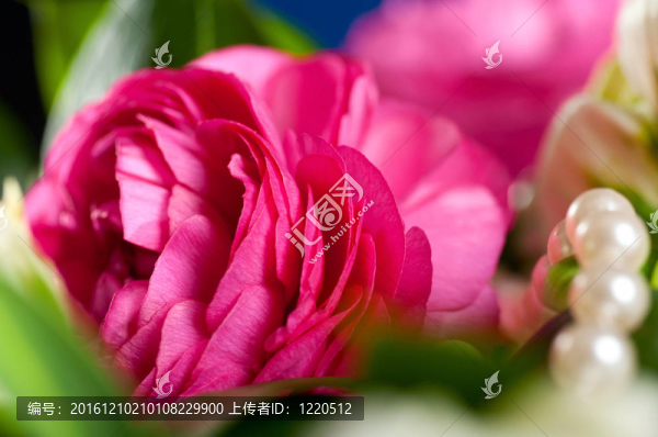 婚禮花束的宏