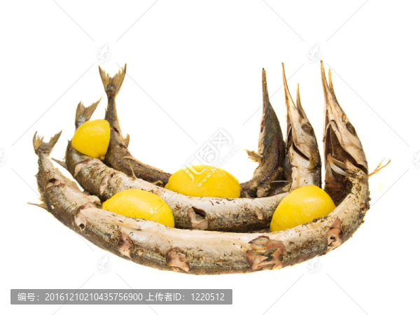 Garfish（Belone,belone）出爐