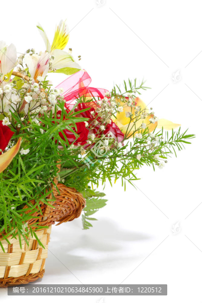 花白色