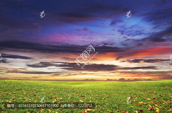 黃昏的綠色草地