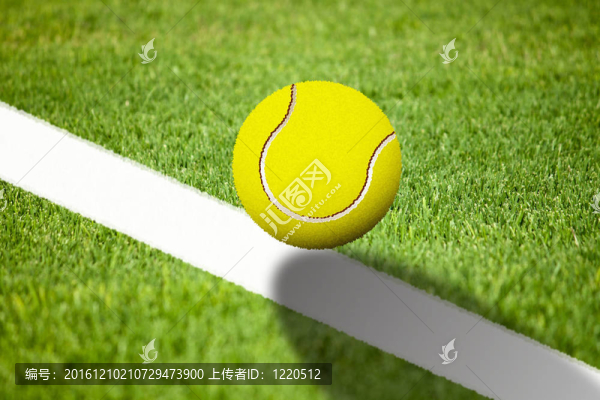 網(wǎng)球