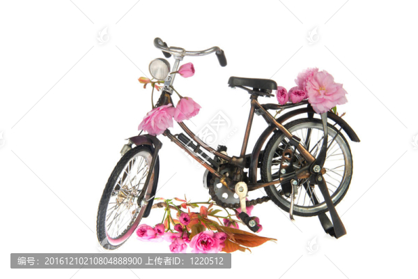 夏天的女自行車