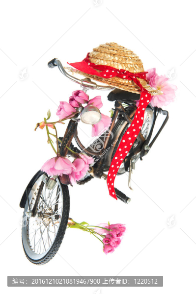 夏天的女自行車