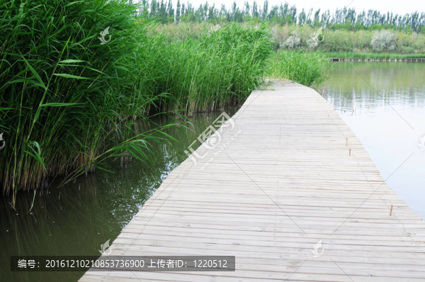 水中木橋
