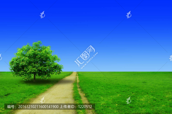 春天的風景