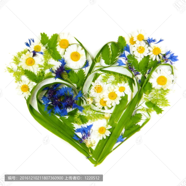 Flowers和草的心