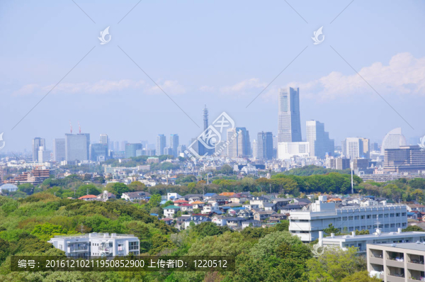橫濱；日本