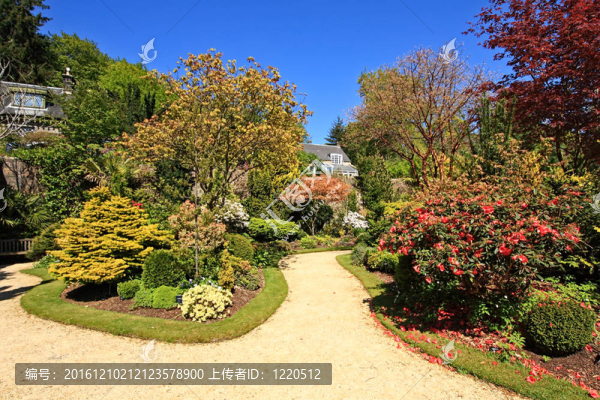 春天的美麗花園