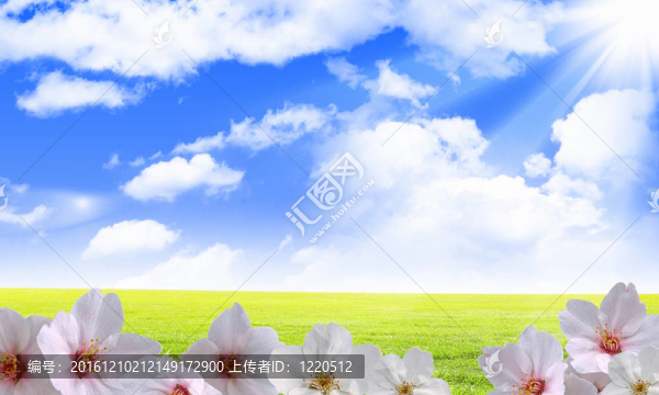 藍(lán)天上美麗的花朵