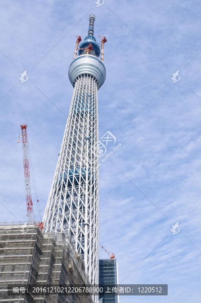 東京天空樹