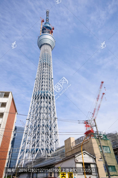 東京天空樹