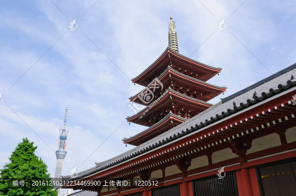 淺草寺和東京天空樹