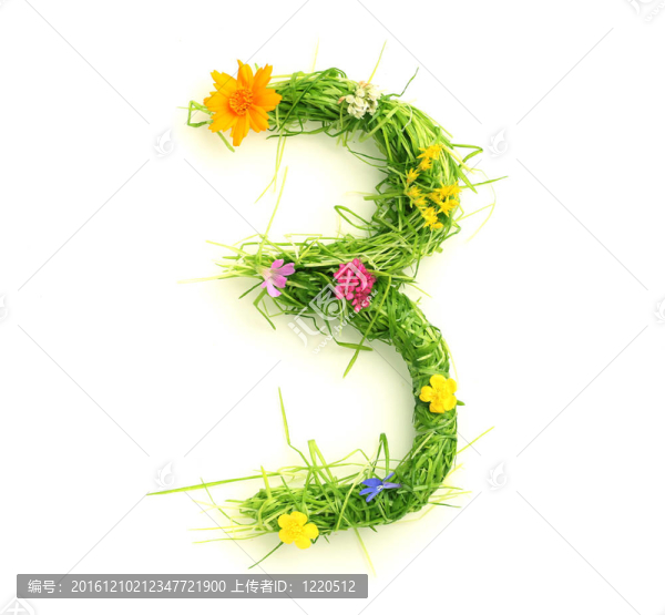 花和草做成的數(shù)字