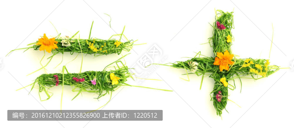 花與草的象征