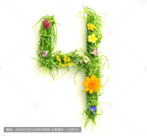 花和草做成的數(shù)字