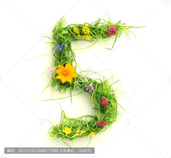 花和草做成的數(shù)字