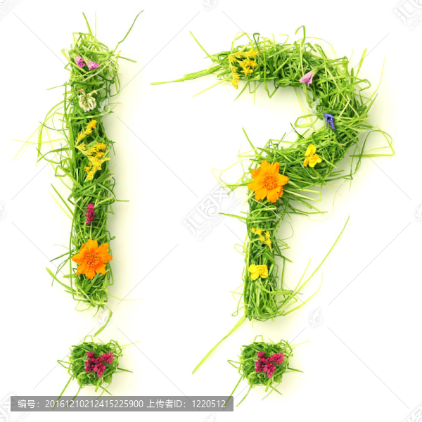 問(wèn)號(hào)